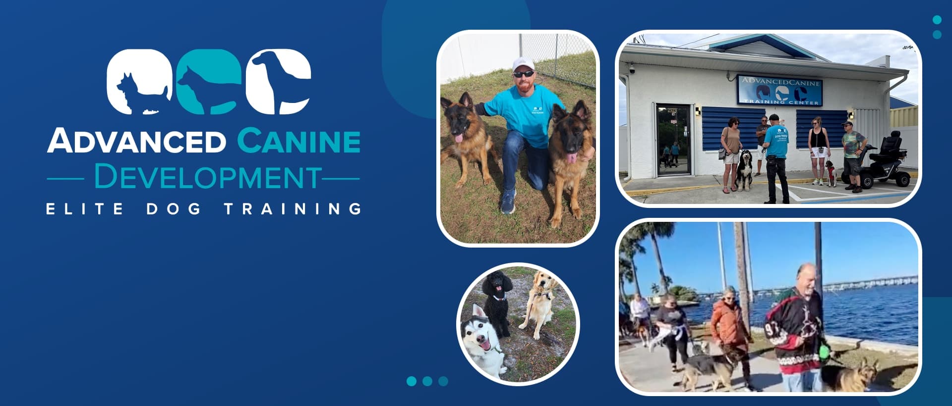 Advanced Canine Development logo beside photos of a trainer with two German Shepherds, clients and dogs outside the ACD Training Center, a group walk on the waterfront and three trained dogs
